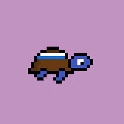 Zeno Turtle #7799