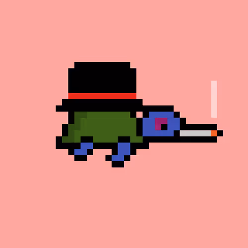 Zenoturtlerace
