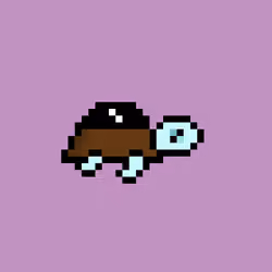 Zeno Turtle #395