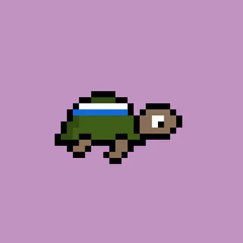 Zenoturtlerace