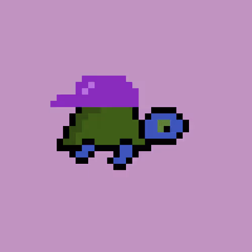 Zenoturtlerace