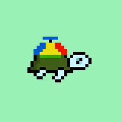 Zeno Turtle #7098
