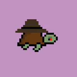 Zeno Turtle #6937