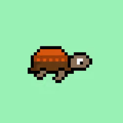 Zeno Turtle #6943