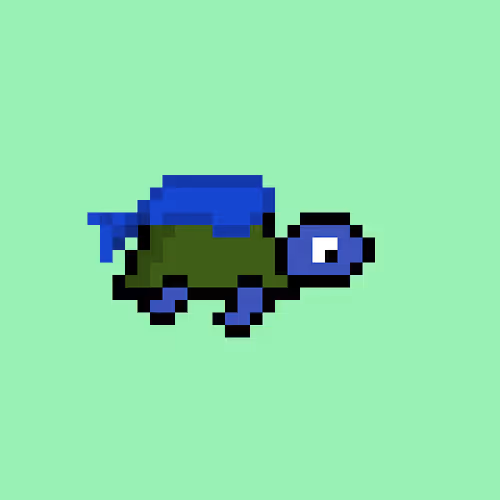 Zenoturtlerace