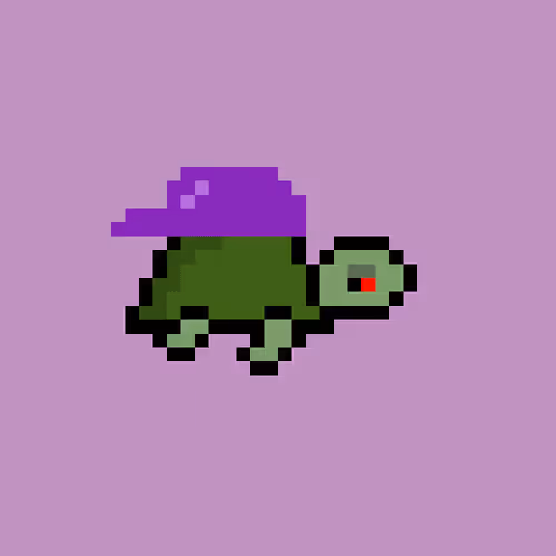 Zenoturtlerace