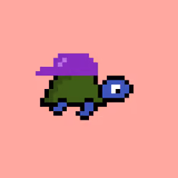 Zeno Turtle #722