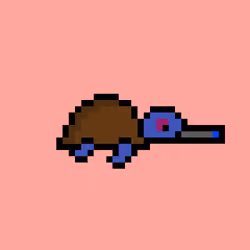 Zeno Turtle #7195