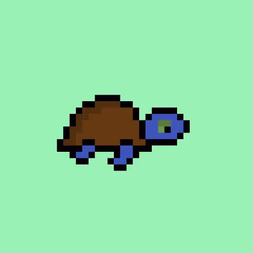 Zenoturtlerace