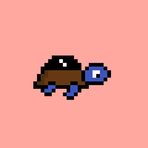 Zenoturtlerace