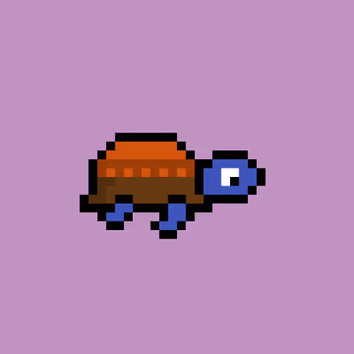 Zenoturtlerace