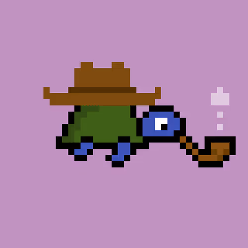 Zenoturtlerace