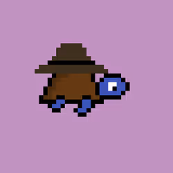 Zeno Turtle #7096