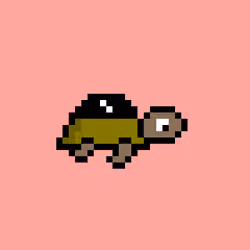Zeno Turtle #7252