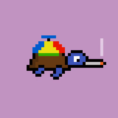 Zenoturtlerace