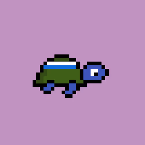 Zenoturtlerace