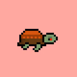 Zeno Turtle #7037