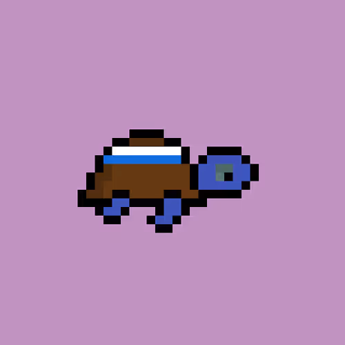 Zenoturtlerace