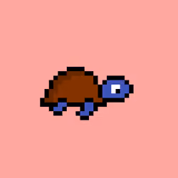 Zeno Turtle #6942