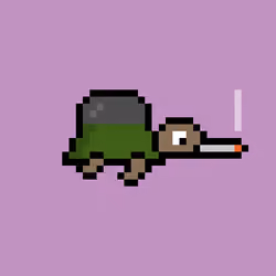 Zeno Turtle #8714