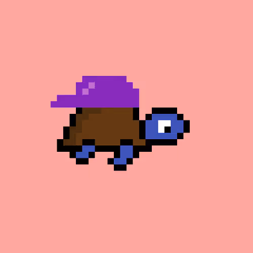 Zenoturtlerace