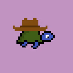 Zeno Turtle #720