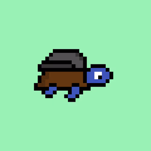 Zenoturtlerace
