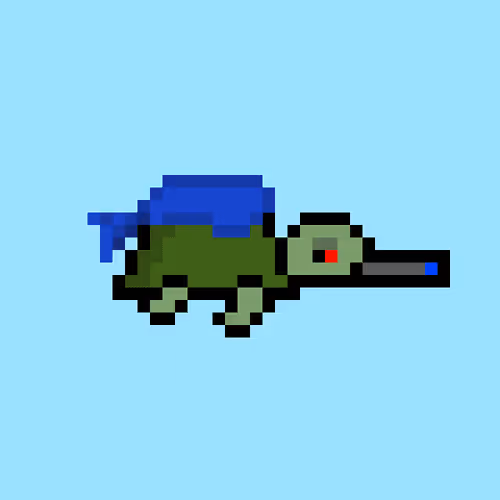 Zenoturtlerace