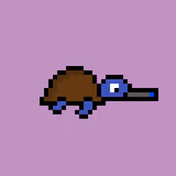 Zeno Turtle #7043