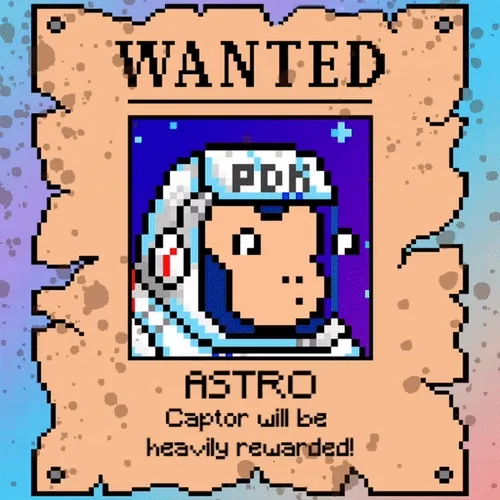 Pxldoodlekongz