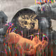 Life Belief and Death
