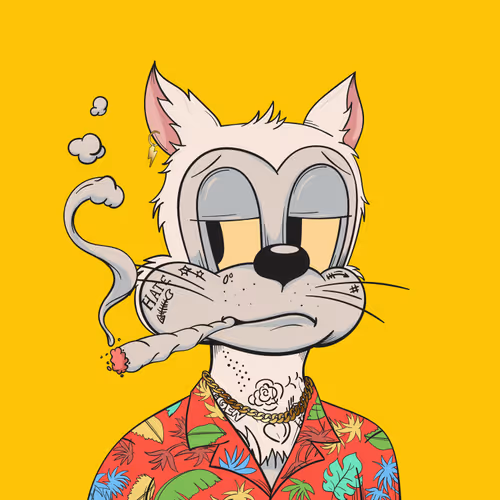 Degentoonz Collection