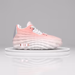 42925020390483418961264435937294628674675142370113608268298204539106649437230