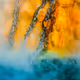 192