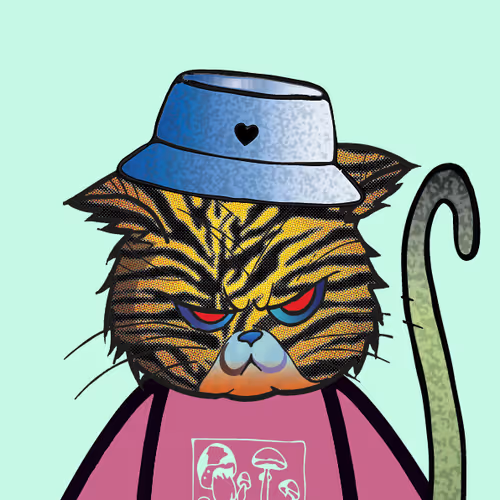 Meow 296