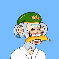 APE LANDER#240