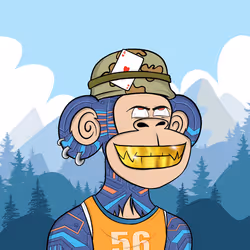 556