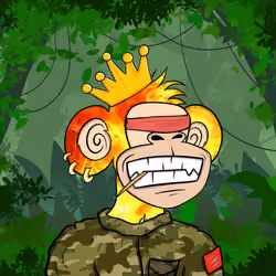 APE LANDER#214