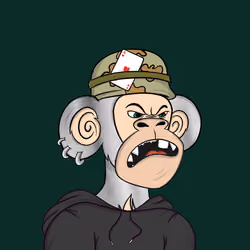 APE LANDER#1569