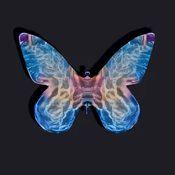 22
