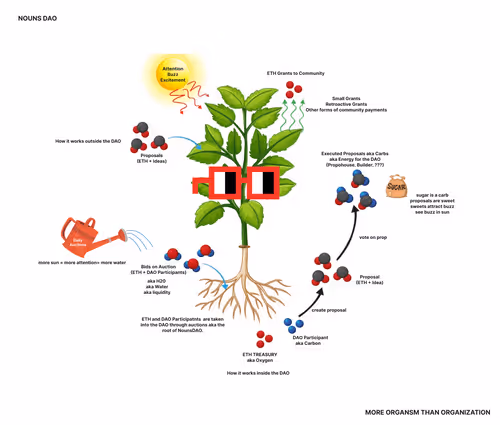 Nouns As Plants
