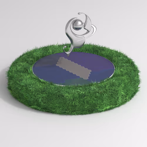 Item #355 Media