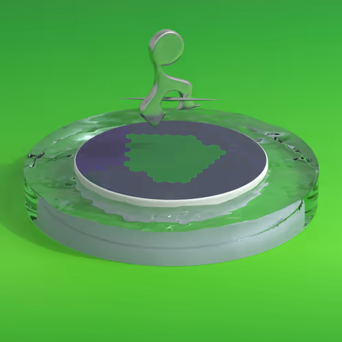 Item #891 Media