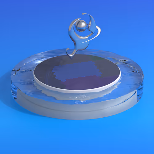 Item #314 Media