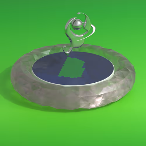 Item #543 Media