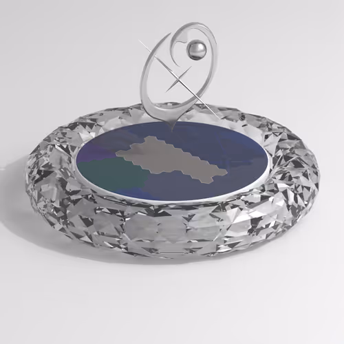 Item #544 Media