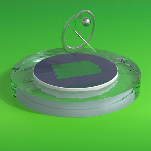 Item #339 Media