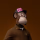 8068