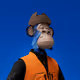 6464