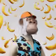 6376